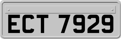 ECT7929