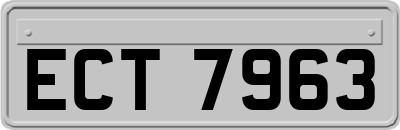 ECT7963