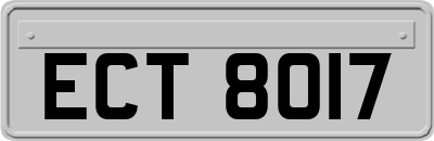 ECT8017