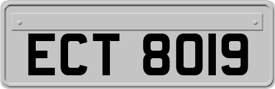 ECT8019