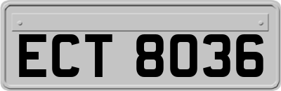 ECT8036