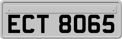 ECT8065
