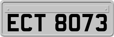 ECT8073