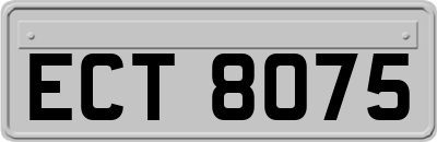 ECT8075