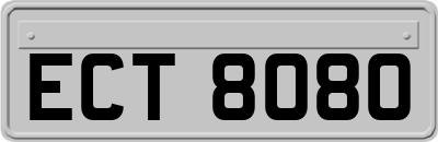 ECT8080
