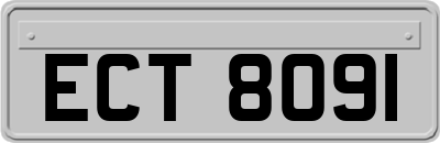 ECT8091