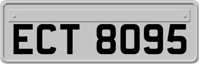 ECT8095