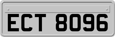 ECT8096