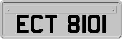 ECT8101