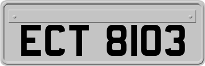 ECT8103