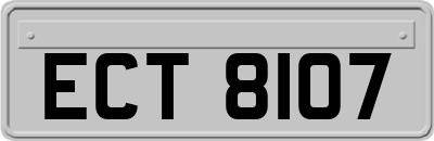 ECT8107