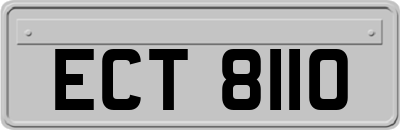 ECT8110