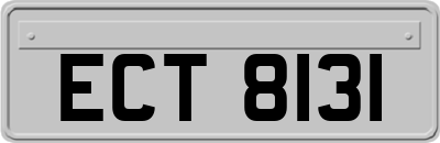 ECT8131