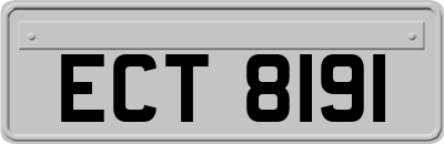 ECT8191