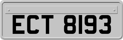 ECT8193
