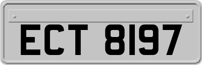 ECT8197