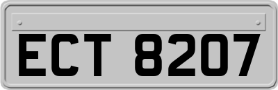 ECT8207