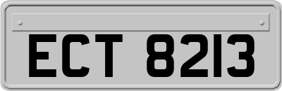 ECT8213