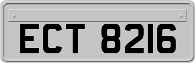 ECT8216