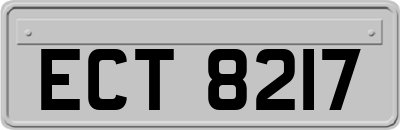 ECT8217