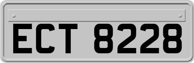 ECT8228