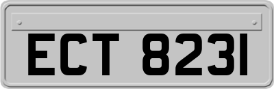 ECT8231