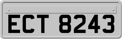 ECT8243