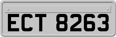 ECT8263