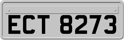ECT8273