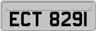 ECT8291