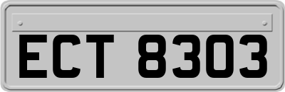 ECT8303