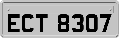 ECT8307