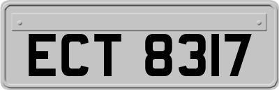 ECT8317