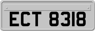 ECT8318