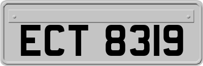 ECT8319