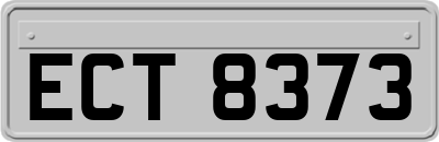 ECT8373