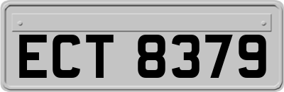 ECT8379