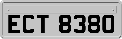 ECT8380