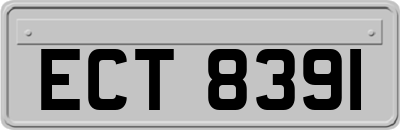 ECT8391