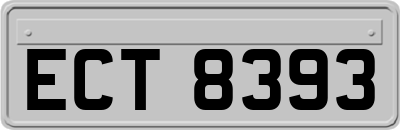 ECT8393