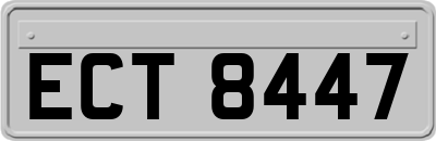 ECT8447