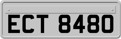 ECT8480