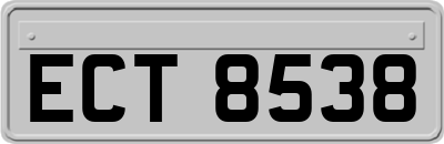 ECT8538