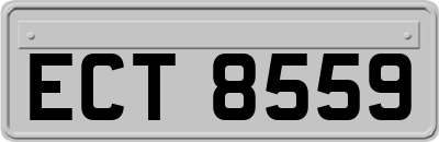 ECT8559