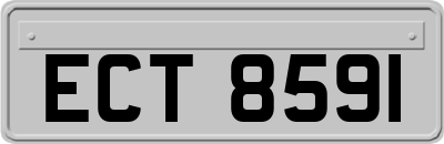 ECT8591