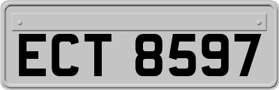 ECT8597