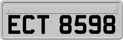 ECT8598