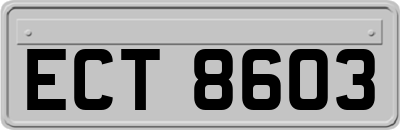 ECT8603
