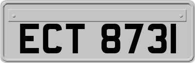 ECT8731
