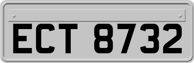 ECT8732